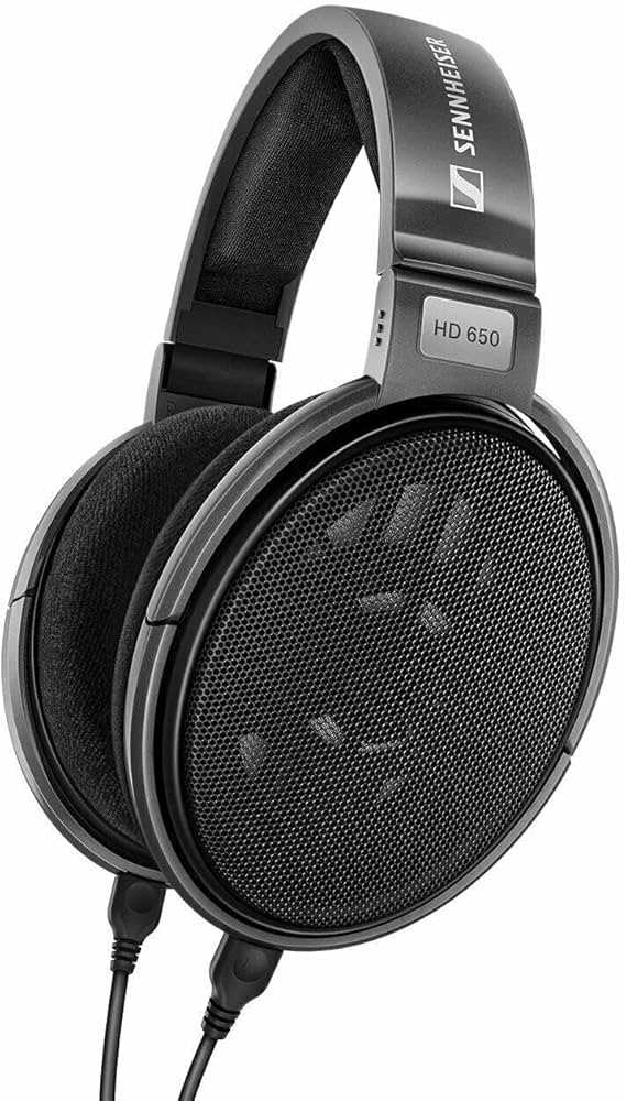 Sennheiser HD650 Over-Ear Headphones